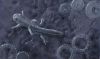 Filename=Mechanics_of_nature-.jpg
Filesize=56KB
Dimensions=529x314
Date added=Oct 09, 2009 Mechanics_of_nature-.jpg